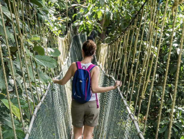 Things to Do In Taman Negara Canopy walk